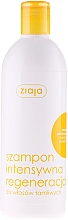 Парфумерія, косметика Медовий шампунь для пошкодженого волосся - Ziaja Shampoo