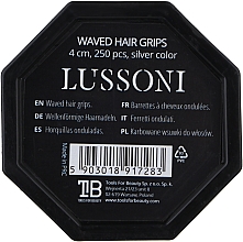 Невидимки волнистые для волос 4 см, серебристые - Lussoni Waved Hair Grips Silver — фото N2