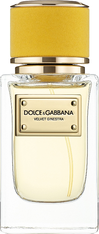 dolce gabbana velvet ginestra