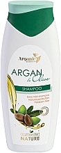 Шампунь для волосся "Аргана та олива" - Aries Cosmetics Arganic by Maria Gan Shampoo — фото N1