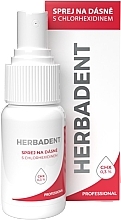 Спрей для десен с хлоргексидином CHX 0,3% - Herbadent — фото N2