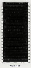 Накладные ресницы "Elite", черные, 20 линий (0,05, D, 12), эко упаковка - Vivienne — фото N1