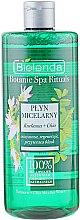 Парфумерія, косметика Міцелярна рідина з куркумою - Bielenda Botanic Spa Rituals Turmeric + Chia Micellar Water