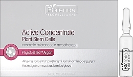 Активний концентрат з рослинними стовбуровими клітинами - Bielenda Professional Meso Med Program Active Concentrate with Plant Stem Cells — фото N1