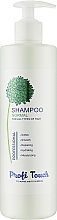 Духи, Парфюмерия, косметика Шампунь для волос "Normal" - Profi Touch Shampoo 