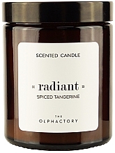 Ароматическая свеча в банке - Ambientair The Olphactory Radiant Spiced Tangerine Scented Candle — фото N1