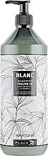 Шампунь для увеличения объема волос - Black Professional Line Blanc Volume Up Shampoo — фото N3