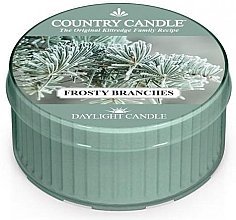 Духи, Парфюмерия, косметика Чайная свеча "Морозные ветви" - Country Candle Frosty Branches Daylight