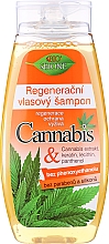 Живильний шампунь для волосся - Bione Cosmetics Cannabis Regenerative Nourishing Shampoo — фото N4