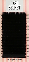 Парфумерія, косметика Накладні вії, чорні, 16 ліній (один розмір, 0.1, С, 13) - Lash Secret