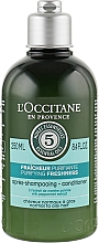 Парфумерія, косметика Кондиціонер для волосся - L'Occitane Aromachologie Purifying Freshness Conditioner