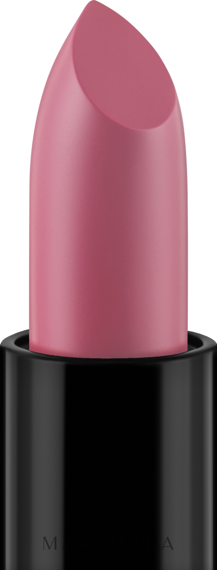 Помада для губ - KSKY Intense Classic Lipstick — фото KS 202 - Rose Natural