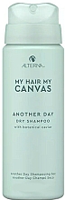 Парфумерія, косметика Сухий шампунь для волосся - Alterna My Hair My Canvas Another Day Dry Shampoo (міні)