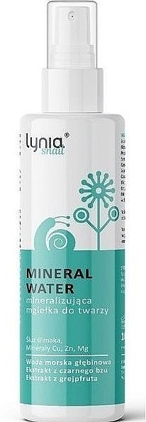 Минеральная вода-спрей со слизью улитки - Lynia Snail Slime Mineral Water — фото N1