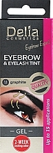 Гель-краска для бровей, графитовая - Delia Eyebrow Tint Gel ProColor 1.1 Graphite — фото N1