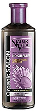 Духи, Парфюмерия, косметика Шампунь для окрашенных волос - Natur Vital Organic Salon Shampoo For Coloured Hair