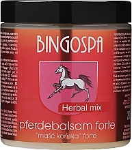 Маска кінська з альпійськими травами - BingoSpa Herbal Mix — фото N1