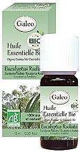 Органическое эфирное масло эвкалипта лучистого - Galeo Organic Essential Oil Eucalyptus Radiata — фото N1