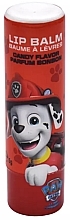 Парфумерія, косметика Бальзам для губ "Цукерка" - Take Care Paw Patrol Lip Balm