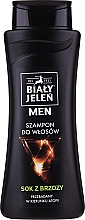 Гіпоалеогенний шампунь з соком берези - Bialy Jelen Hypoallergenic Shampoo For Men — фото N1