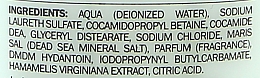 Шампунь з сіллю Мертвого моря - Premier Minerals To Go Salt Shampoo — фото N3