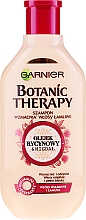 Шампунь для волос - Garnier Botanic Therapy Castor Oil And Almond — фото N3