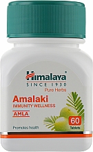 Пищевая добавка "Амла" - Himalaya Herbals Amla C Amalaki — фото N1