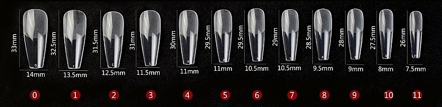 Типсы для ногтей, акриловые, прозрачные, 504 шт. - Reney Cosmetics RX-181 — фото N2