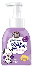 Гель для миття рук з ароматом чорниці - Kerasys Shower Mate Bubble Hand Wash Blueberry — фото N1