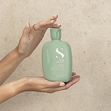 Шампунь для волосся проти лупи - Alfaparf Semi Di Lino Scalp Rebalance Purifying Low Shampoo — фото N3