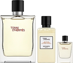 Парфумерія, косметика Hermes Terre d’Hermes - Набір (edt/100ml + sh/gel/40ml + edt/5ml)