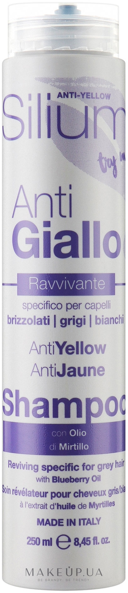 Шампунь для нейтралізації жовтизни сивого та фарбованого у відтінки блонд волосся - Silium Anti-Yellow Shampoo — фото 250ml