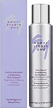 Сухий шампунь-кондиціонер для волосся - Monat Studio One The Champ Conditioning Dry Shampoo — фото N2