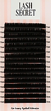 Накладні вії, чорні, 16 ліній (один розмір, 0,1, L, 11) - Lash Secret — фото N1