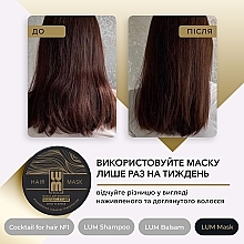 Набір "Професійний догляд за волоссям" - LUM (shm/250ml + h/balm/250ml + h/mask/200ml + hair/coc/50ml) — фото N17