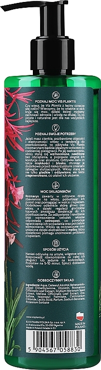 Кондиціонер для нормального і схильного до жирності волосся - Vis Plantis Herbal Vital Care Conditioner Rosemary Milk Thistle+Lemon Balm — фото N2