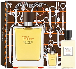 Духи, Парфюмерия, косметика Terre D'Hermes Eau Intense Vetiver - Набор (edp/100ml + edp/5ml + sh/g/40ml)