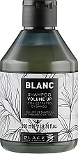 Шампунь для увеличения объема волос - Black Professional Line Blanc Volume Up Shampoo — фото N1