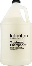 Шампунь Активный Уход - Label.m Cleanse Professional Haircare Treatment Shampoo — фото N3