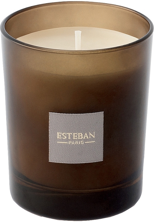 Esteban Ambre - Парфумована свічка — фото N2