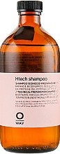 Духи, Парфюмерия, косметика Шампунь для подготовки волос для химических процедур - Oway Htech Shampoo