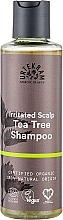 Духи, Парфюмерия, косметика Шампунь для волос "Чайное дерево" - Urtekram Tea Tree Shampoo