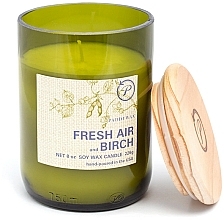 Парфумерія, косметика Ароматична свічка "Свіже повітря та береза" - Paddywax Eco Green Recycled Glass Candle Fresh Air + Birch