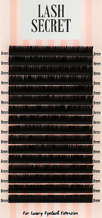 Накладные ресницы, черные, 16 линий (один размер, 0,07, L, 8) - Lash Secret — фото N1