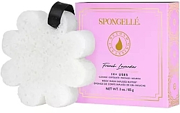 Пенная многоразовая губка для душа "Французкая лаванда" - Spongelle Boxed White Flower French Lavender — фото N1