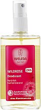 Дезодорант "Роза" - Weleda Wild Rose Deodorant — фото N2