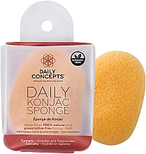 Спонж конняку для лица, с куркумой - Daily Concepts Daily Konjac Sponge Turmeric — фото N2