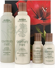 Духи, Парфюмерия, косметика Набор - Aveda Rosemary Mint (shampoo/250ml + h/cond/250ml + h&b/wash/50ml + b/lot/50ml)