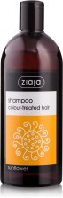 Шампунь для окрашенных волос "Подсолнечник" - Ziaja Shampoo  — фото N1