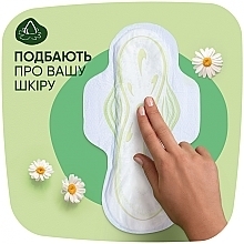 Гігієнічні прокладки з крильцями, 10 шт. - Naturella Classic Camomile Normal, Derma-Cream — фото N4